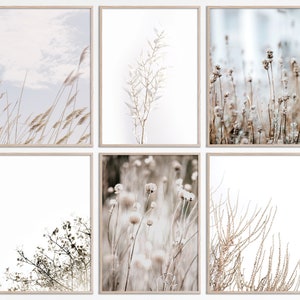 Farmhouse Printable Wall Art, Botanical Print Set of 6, Wild Flowers Prints, Wildflowers Gallery Printables, Organic Home Decor poster set