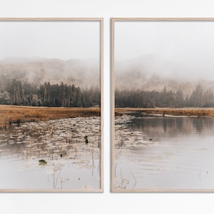 Pu&ograve; includere: Una coppia di stampe incorniciate che raffigurano una scena di lago nebbioso con un bosco sullo sfondo. Il lago &egrave; ricoperto di ninfee e l'acqua &egrave; di un colore blu chiaro. Il bosco &egrave; di un verde scuro e le montagne sullo sfondo sono di un grigio chiaro.