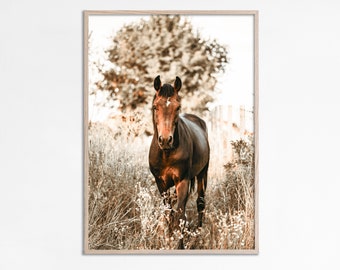 Brown Horse Wall Art Prints, Horse Photography, Bohemian Horse Art, Farmhouse decor, Horse poster, Boho wall gallery, Equine art Download
