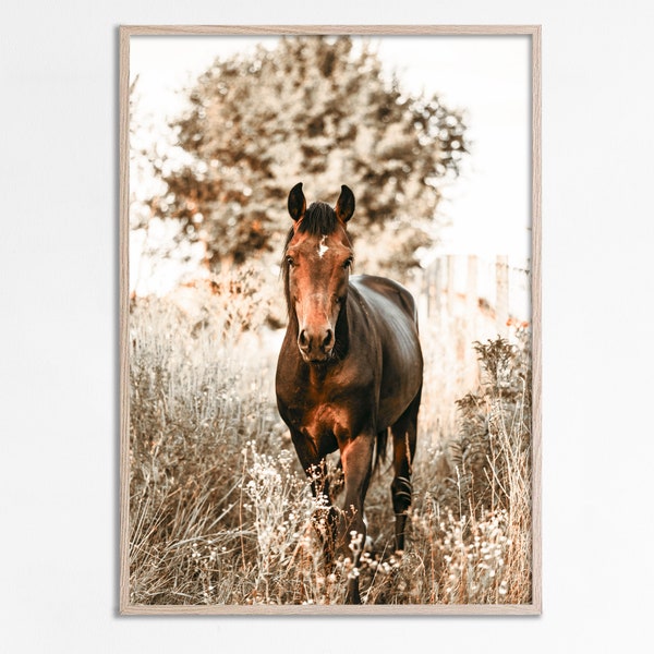 Brown Horse Wall Art Prints, Horse Photography, Bohemian Horse Art, Farmhouse decor, Horse poster, Boho wall gallery, Equine art Download