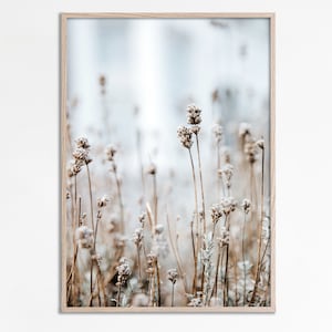 Wildblumenfotografie, trockenes Sommerfeldfoto, botanische Wandkunst, Bauernhausdekor, neutrales Feldposter, Blumenfeldlandschaft zum Ausdrucken