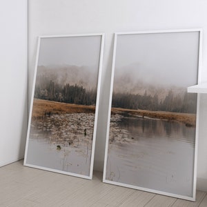 Pu&ograve; includere: Due fotografie di paesaggio incorniciate in bianco di un lago nebbioso con alberi sullo sfondo. Il lago &egrave; ricoperto di ninfee e l'acqua &egrave; calma e riflettente.