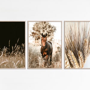 Southwestern prints, Farmhouse wall art prints 3 piece wall art, Western 3 Piece Wall Art, Brown Horse Print western country poster download