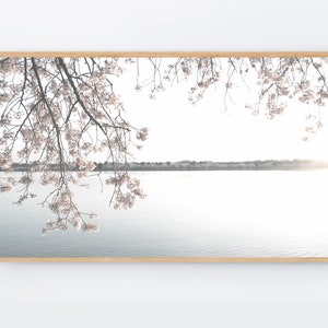 Samsung Frame TV Art, Cherry Blossom Digital Art for Frame TV, Blooming Flowers TV art instant digital download for Smart tv wallpaper