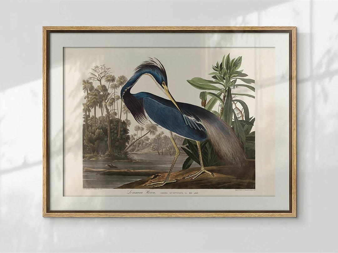 Vintage Blue Heron Print, Heron Printable Wall Art, Vintage Bird Poster ...