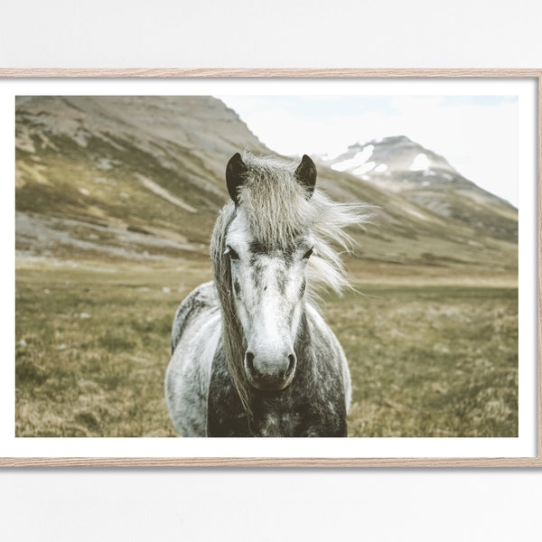 Wild horse Photography, Gray Horse Print, Modern Farmhouse Decor, Horse poster, Country house decor, Mountain, wild horse photo - Printable