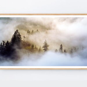 May include: A misty forest scene with tall, dark green trees silhouetted against a backdrop of white fog. The sun shines through the fog, creating a warm, ethereal glow.