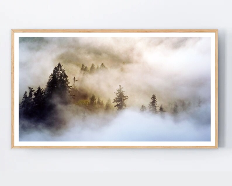 May include: A misty forest scene with tall, dark green trees silhouetted against a backdrop of white fog. The sun shines through the fog, creating a warm, ethereal glow.
