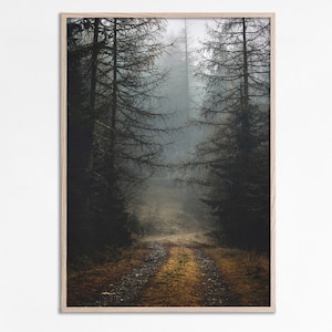 Nebliger Waldweg Druck, nebliger Wald, stimmungsvoller Wald Druck, Waldweg Natur druckbare Kunst, mysteriöser Waldnebel Foto-Druck-Download