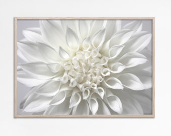 Dahlia print, White Dahlia wall art print, floral macro photography, Floral Wall Decor, Dahlia Flower Poster, neutral flower decor, Digital