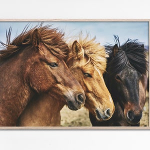 Western room decor aesthetic, Cowboy Southwestern Decor, Wild Horses Print, Horse Photography prints, Equestrian decor, Printable Wall Art