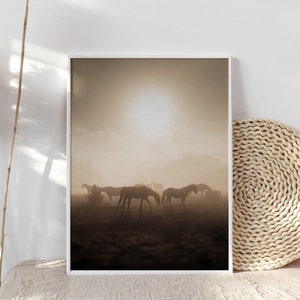 May include: A framed photograph of a group of horses silhouetted against a hazy, golden sunrise. The horses are standing in a field, and the sun is shining brightly in the sky.