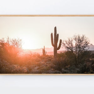 Samsung Frame Tv Art Boho Arizona desert Cactus Wallpaper, Saguaro Cactus Wall Art, Cacti Tv Art, Desert decor Arizona Sunset photo Frame TV