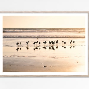 Seagulls photo print, Seagulls on the Beach Modern Coastal Poster, Pastel Seagull wall art, Tropical Beach Photography, Beige Coastal Decor