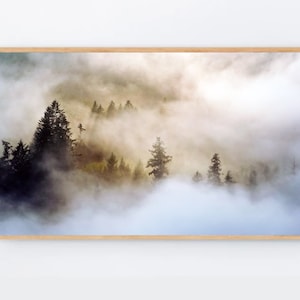 May include: A misty forest scene with tall evergreen trees silhouetted against a backdrop of swirling fog and clouds. The sunlight filters through the clouds, creating a soft, ethereal glow.
