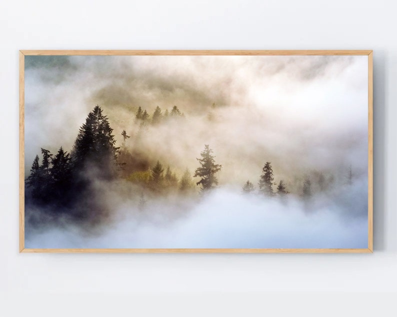 May include: A misty forest scene with tall evergreen trees silhouetted against a backdrop of swirling fog and clouds. The sunlight filters through the clouds, creating a soft, ethereal glow.