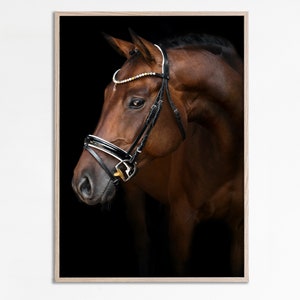May include: A close-up of a brown horse's head with a black leather bridle and a white and gold beaded browband. The horse is looking to the side, and the background is black.