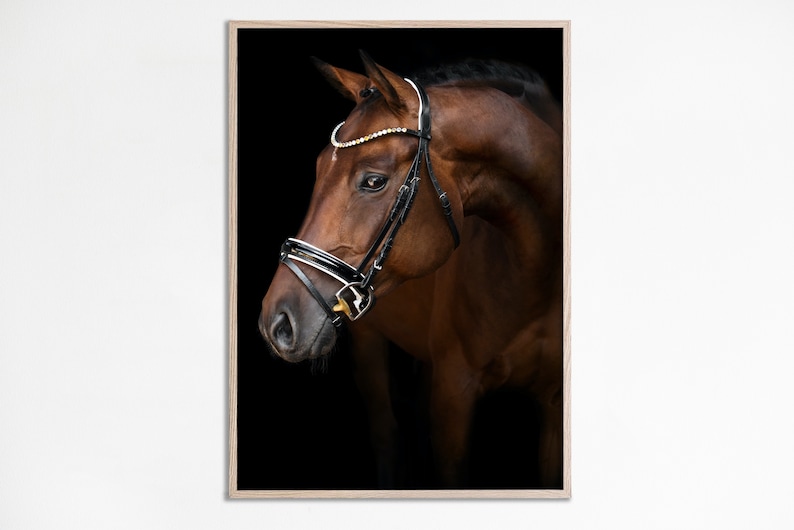 May include: A close-up of a brown horse's head with a black leather bridle and a white and gold beaded browband. The horse is looking to the side, and the background is black.