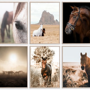 May include: A set of six framed photographs featuring horses in various settings. The photos include a close-up of a horse's eye, a horse standing in a field, a horse running through a field, a horse standing in a field with a mountain in the background, a horse standing in a field with a sunset in the background, and a horse standing in a field with a forest in the background.