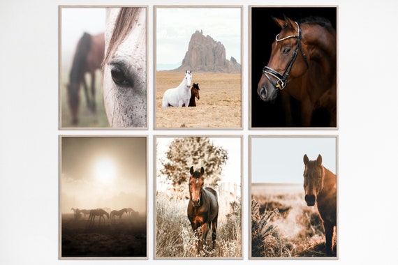 Set of 6 equestrian prints, Horses Prints, Printable wall art set of 6 Prints, Farmhouse posters set, Rustic wall gallery, western horse art
