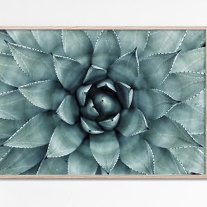 Sukkulente Wandkunst, Kaktus Drucke Botanische Wandkunst, Sukkulente Kunstdrucke, Sukkulente Foto druckbare Wandkunst Download, Sukkulente Geschenk