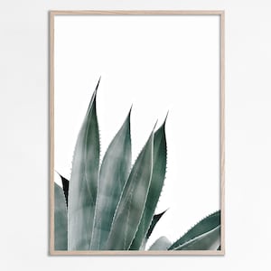 Aloe Vera Druck Aloe Sukkulenten Agave Kaktus Druck Sukkulenten Wandkunst, Botanisches Wohndekor, Grünes Poster