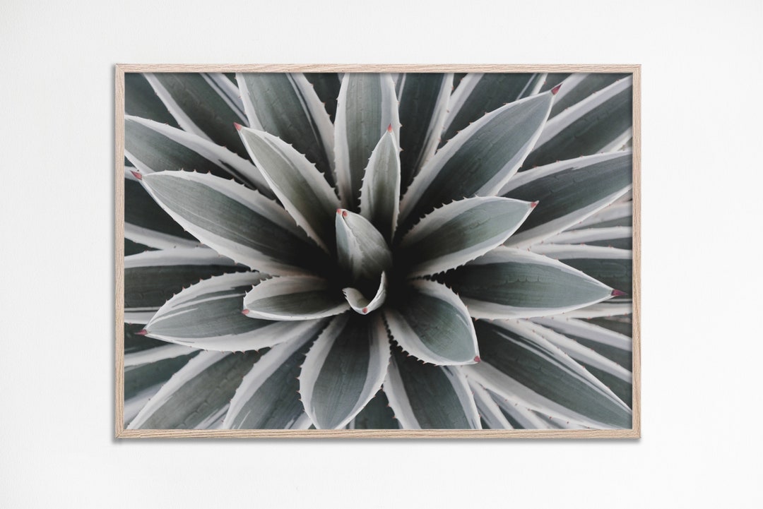 Succulent Printable Wall Art Poster, Succulent Art Prints, Bathroom ...