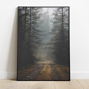 Forest Print Set of 3 Print Foggy Nature Poster Forest 3 Piece Set ...