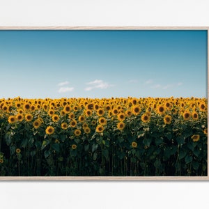 Zonnebloemen landschapsfotografie, zonnebloem kunst aan de muur, zonnebloemen veld afdrukbare kunst, Blue Sky land landschap print Instant bestand downloaden