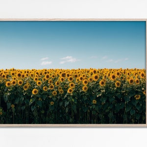 Sunflowers Landscape Photography, Sunflower wall art, Sunflowers field printable art, Blue Sky country landscape print Instant file download