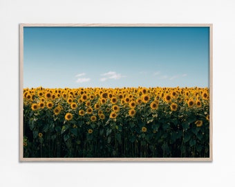 Sunflowers Landscape Photography, Sunflower wall art, Sunflowers field printable art, Blue Sky country landscape print Instant file download