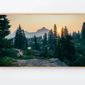 Samsung frame tv art, Frame TV Art, enchanted forest tv art Nature Samsung TV wallpaper National park photography instant digital download