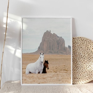 May include: A framed photograph of two horses standing in a desert landscape with a large rock formation in the background. The horse on the left is white, and the horse on the right is brown.