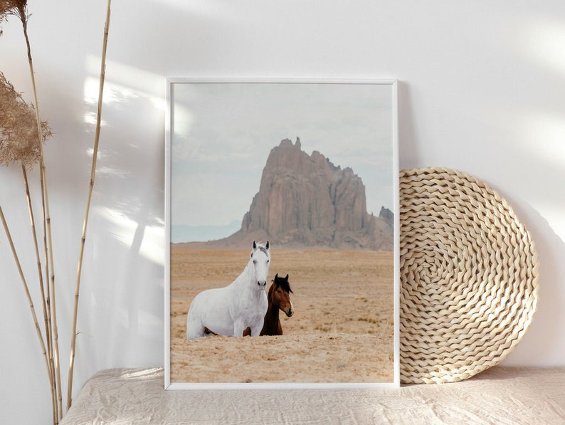 May include: A framed photograph of two horses standing in a desert landscape with a large rock formation in the background. The horse on the left is white, and the horse on the right is brown.
