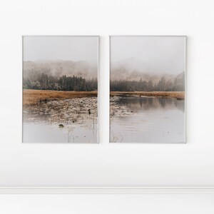 Pu&ograve; includere: Due fotografie di paesaggio incorniciate di un lago nebbioso con alberi e montagne sullo sfondo. Il lago &egrave; ricoperto di ninfee e l'acqua &egrave; calma e riflettente.