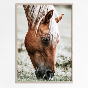Horse head photography, Horse Print, Horse wall art, Horse Photo, Rustic Farmhouse Wall Art, Printable Horses Poster, Western Digital Art