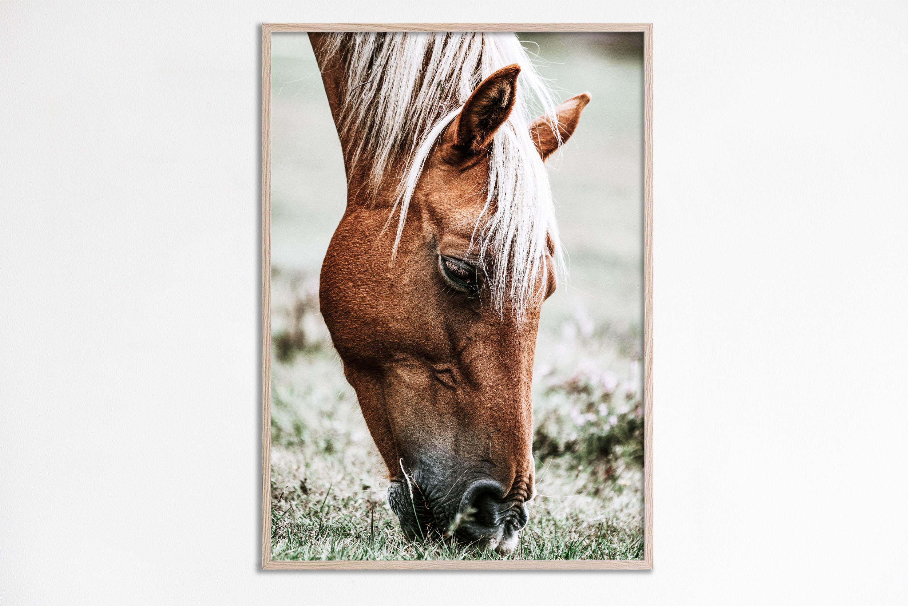 Horse head photography, Horse Print, Horse wall art, Horse Photo, Rustic Farmhouse Wall Art, Printable Horses Poster, Western Digital Art