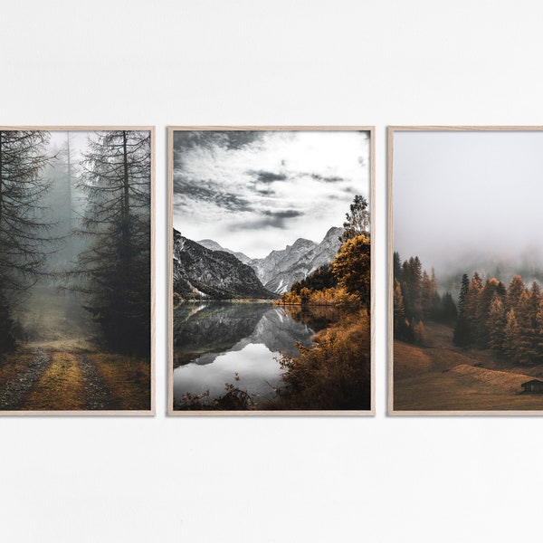Forest Print Set of 3 Print Foggy Nature Poster Forest 3 Piece Set Nordic Photography Misty Forest Photo Foggy Landscape Fall Forest picture