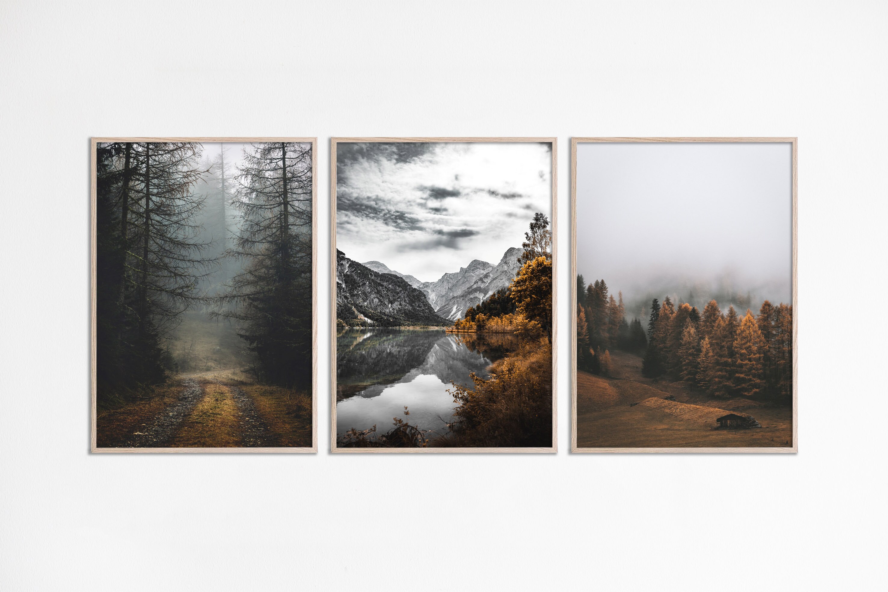 Forest Print Set of 3 Print Foggy Nature Poster Forest 3 Piece Set Nordic Photography Misty Forest Photo Foggy Landscape Fall Forest picture