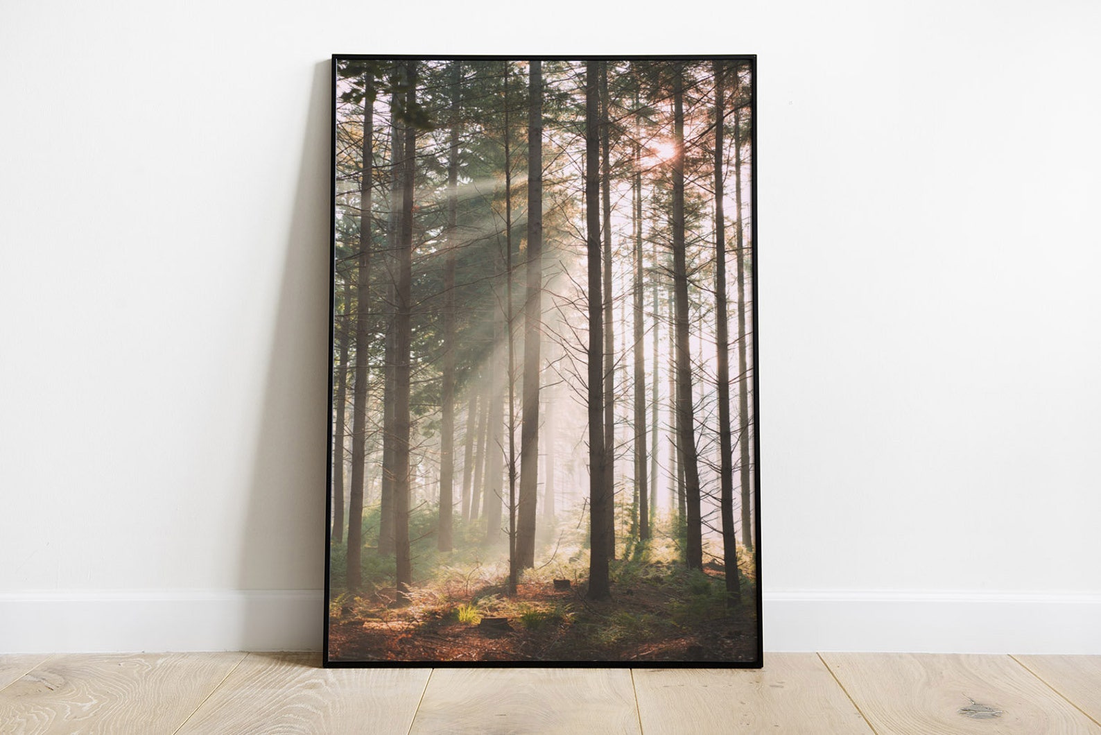 Light Through Trees Print Set of 2 Prints in the Woods Forest - Etsy