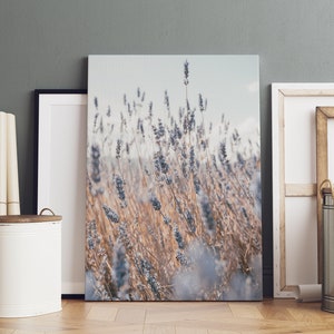 May include: A photograph of a field of lavender flowers in a soft, muted color palette. The flowers are in focus, while the background is blurred, creating a dreamy effect.