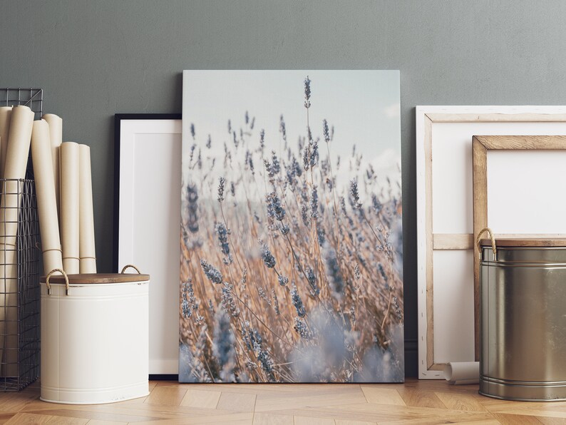 May include: A photograph of a field of lavender flowers in a soft, muted color palette. The flowers are in focus, while the background is blurred, creating a dreamy effect.