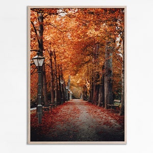Herbst Dekor Herbst Straße Bäume Herbst erdigen Farben fallen, Herbstlaub Goldener Herbst Landschaft Belaubte Straße Herbst druckbare Kunst sofort-Download