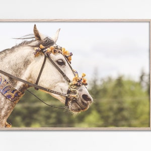 Foto de perfil de cabeza de caballo blanco, impresión de caballo Boho, imagen de caballo, Boho del desierto, fotografía de animales, animales de granja, decoración de pared de caballos imprimibles
