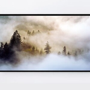 May include: A misty forest scene with tall evergreen trees silhouetted against a backdrop of white fog. The sun shines through the clouds, casting a warm glow on the landscape.