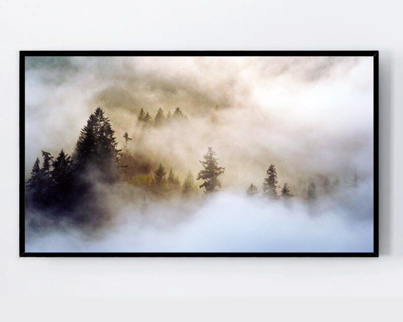 May include: A misty forest scene with tall evergreen trees silhouetted against a backdrop of white fog. The sun shines through the clouds, casting a warm glow on the landscape.