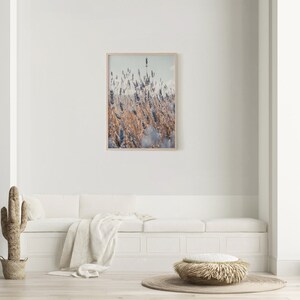 May include: A framed photograph of a field of purple and brown wildflowers. The photo is in a light wood frame and is hanging on a white wall.