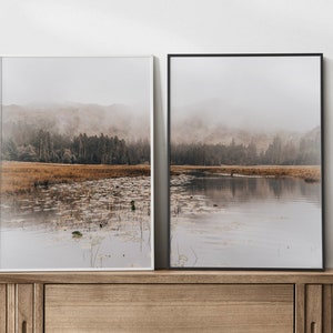 Pu&ograve; includere: Due fotografie di paesaggio incorniciate di un lago con ninfee e una foresta nebbiosa sullo sfondo. Le cornici sono bianche e nere.