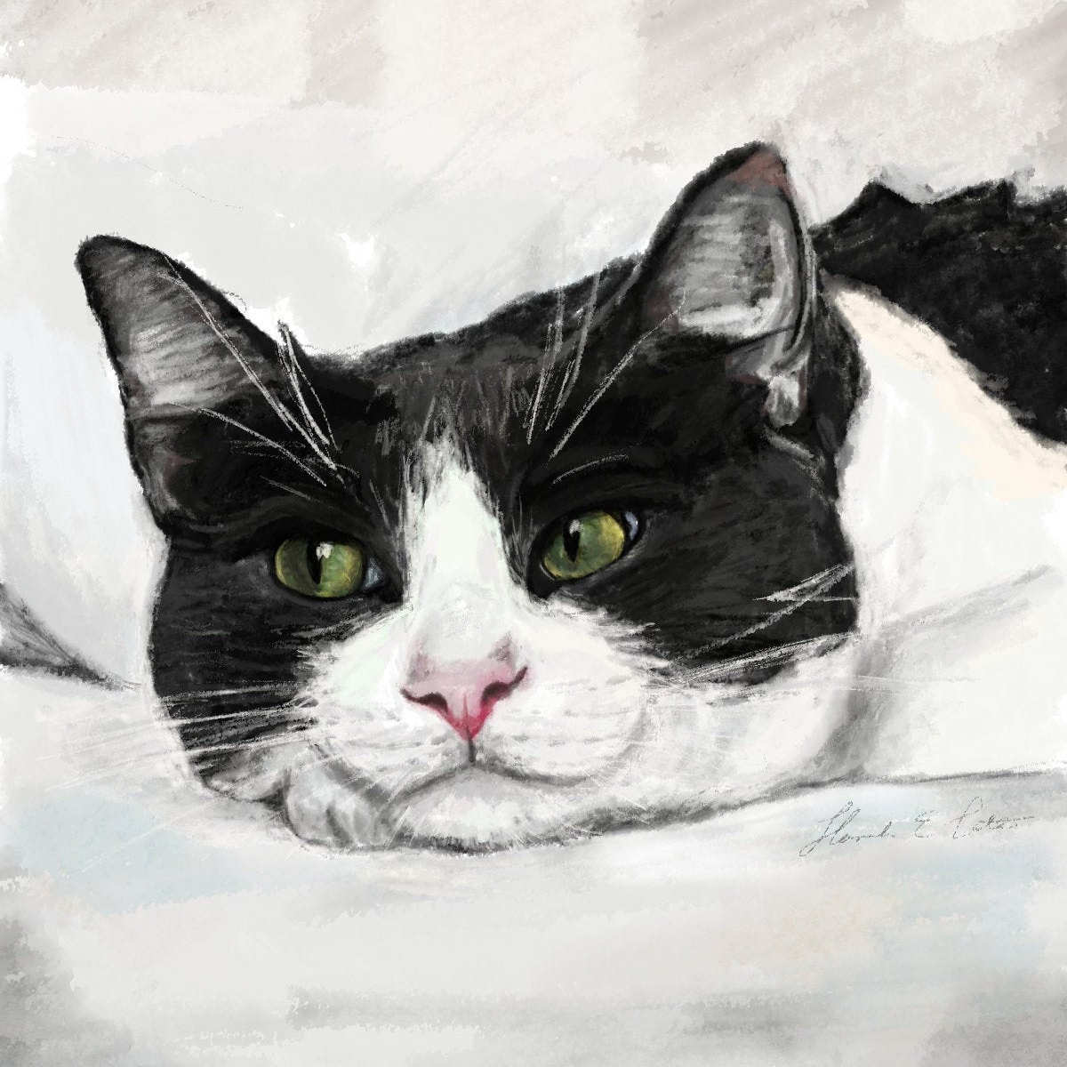 Lazy Cat Drawing Etsy