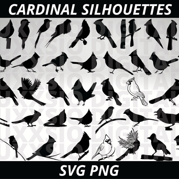 Cardinals Svg, Cardinal Svg, Cardinals Png, Cardinal Clipart, Bird Svg, Svg Files For Cricut, Cardinal Png, Birds Svg, Cardinal Silhouette